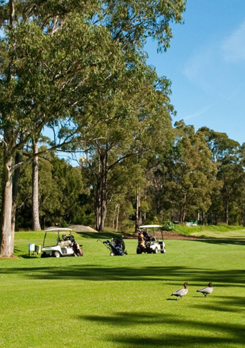 Fairfield Golf Club