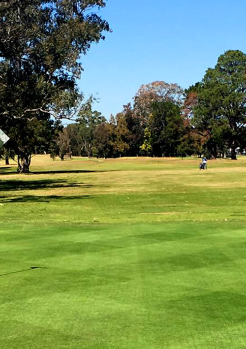 Georges River Golf Club