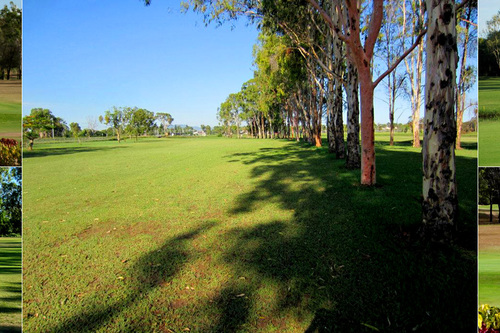 Gracemere-Lake-Golf-Club_2.jpg