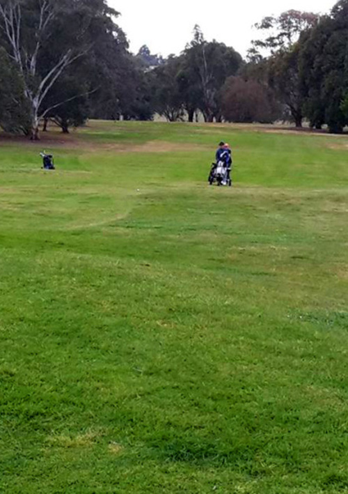 Goose Gully Golf Greens	