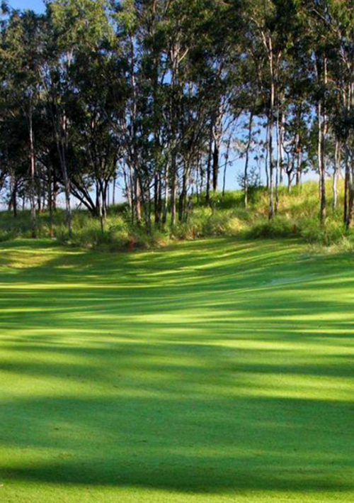 Ipswich City Golf