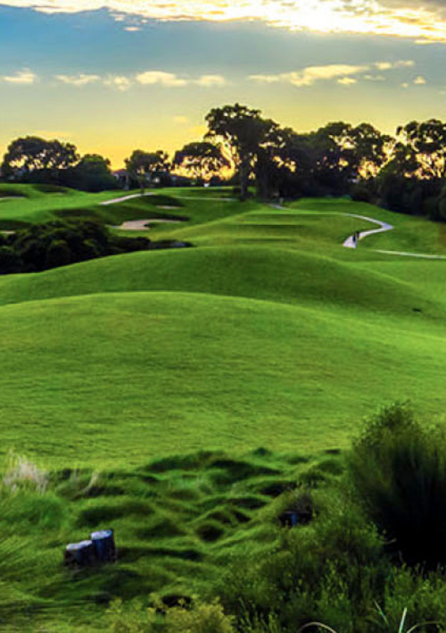 Joondalup Resort	(Lake-Dune)