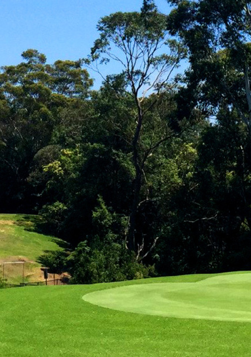 Lane Cove Country Club