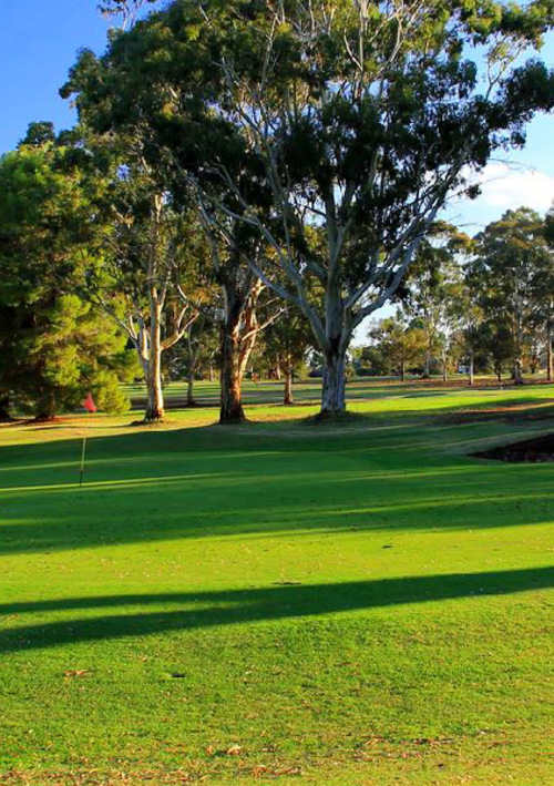 Loxton Golf Club