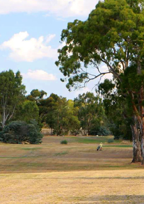 Lexton Golf Club	