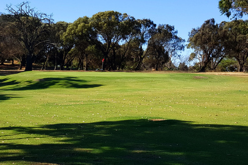 Lake-Albert-Golf-Club_1.jpg