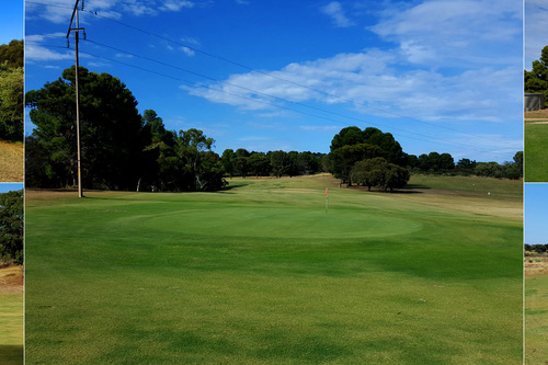 Lake-Albert-Golf-Club_3.jpg