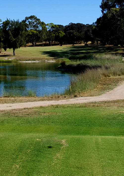 Lake Albert Golf Club