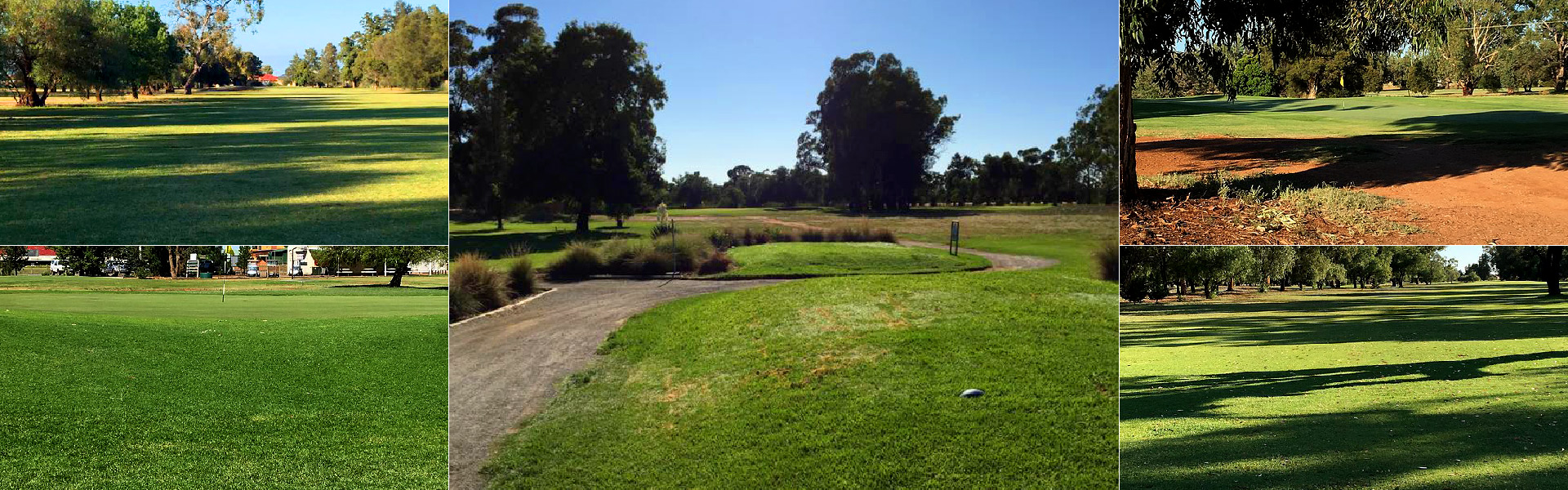 Leeton Golf Club