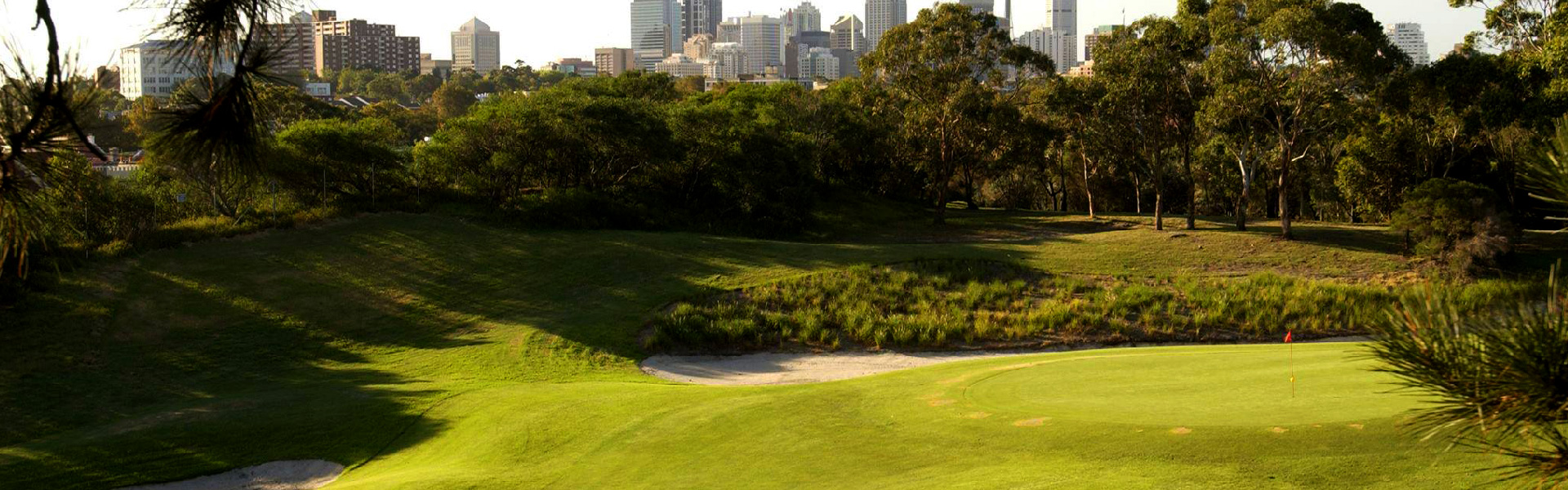 Moore Park Golf