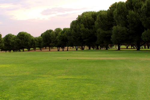 Mannum-Golf-Club_4.jpg