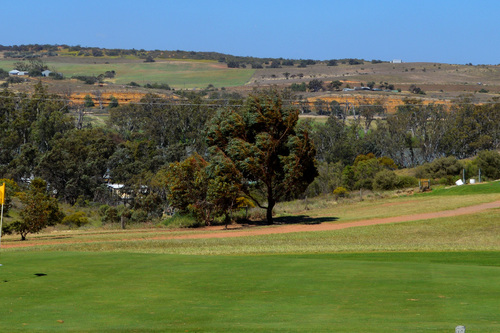 Mannum-Golf-Club_3.jpg