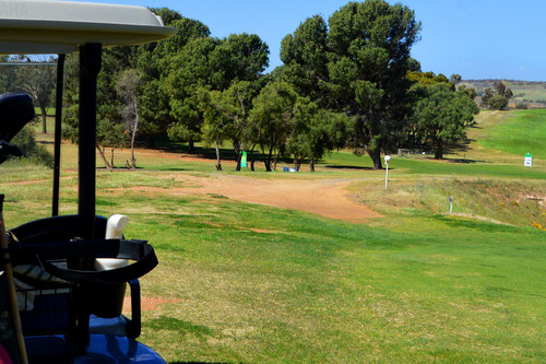 Mannum-Golf-Club_5.jpg