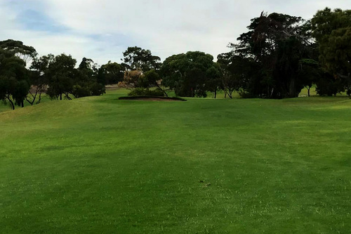 Marion-Park-Golf-Club_9.jpg