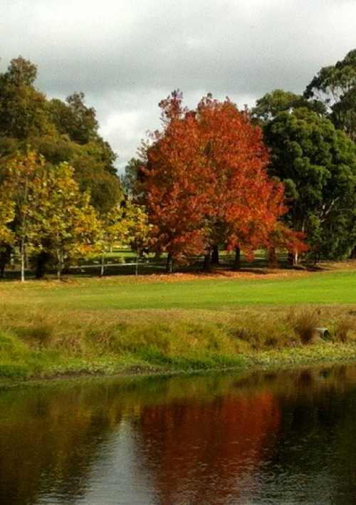 Meeniyan Golf Club	