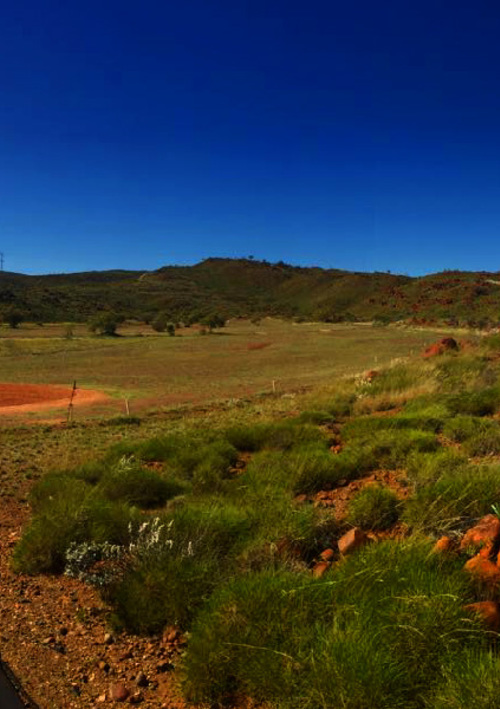 Mountain View Golf Club	