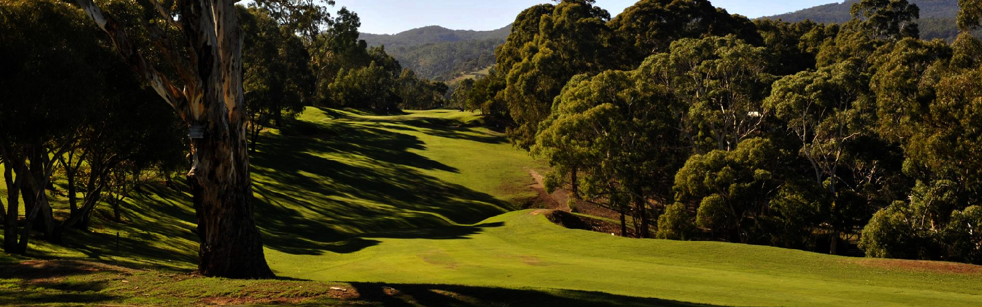 Mount Osmond Golf Club Mount Osmond Golf Club