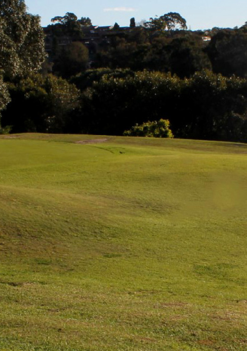 Marrickville Golf Club
