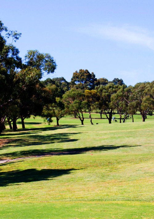 Mt Martha Golf Club	