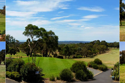 Mt-Martha-Golf-Club_5.jpg