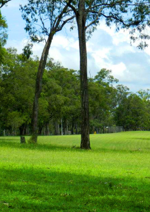 Miriam Vale Golf Club