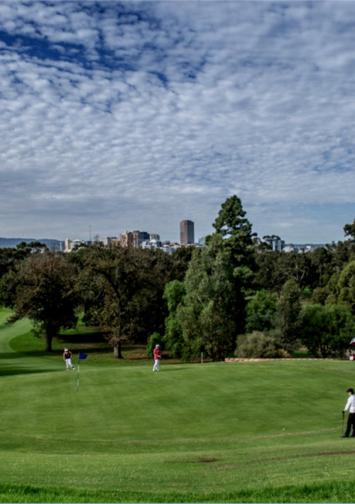 North Adelaide Golf Club