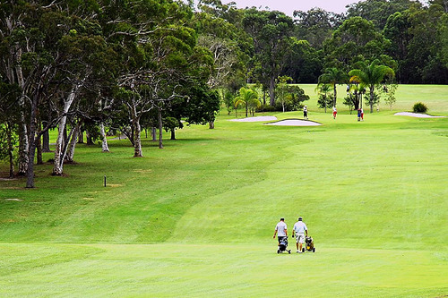 Noosa-Golf-Club_2.jpg