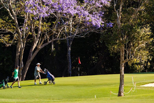 Ballina-Golf-Club_8.jpg