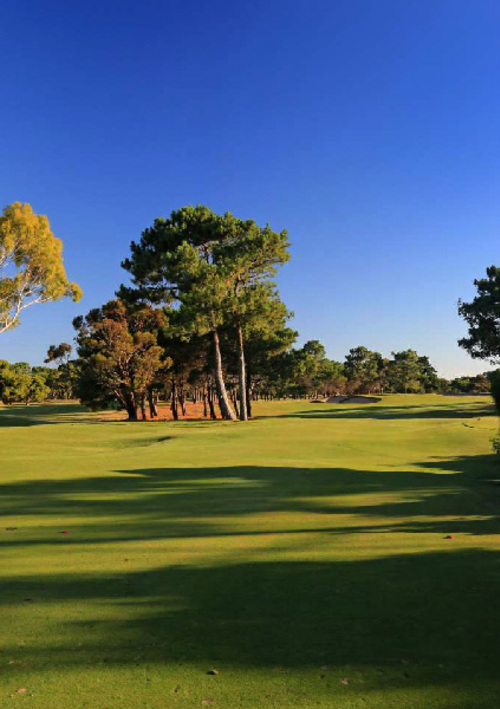 The Grange  (West Course)