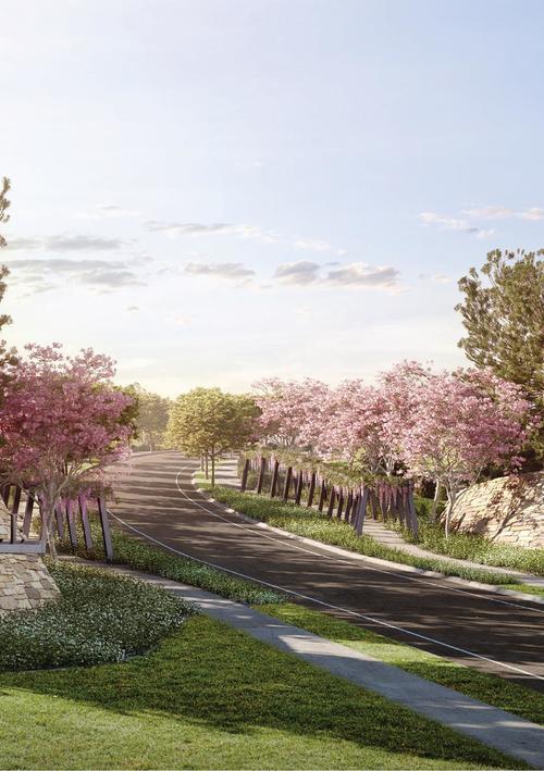 Brookwater Residential