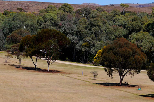 Orroroo-Golf-Club_2.jpg