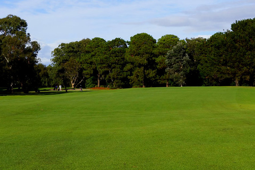 Port-Kembla-Golf-Club_5.jpg