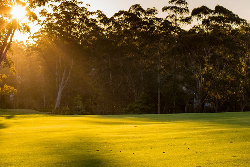 Pymble-Golf-Club_1.jpg