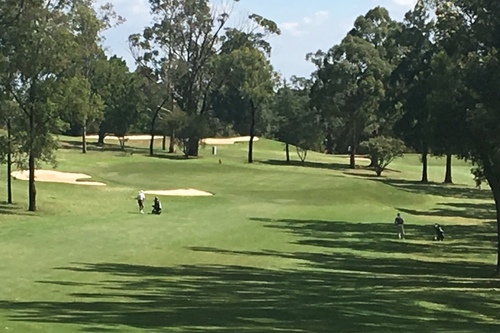10th-Green-Nov-2017.jpg