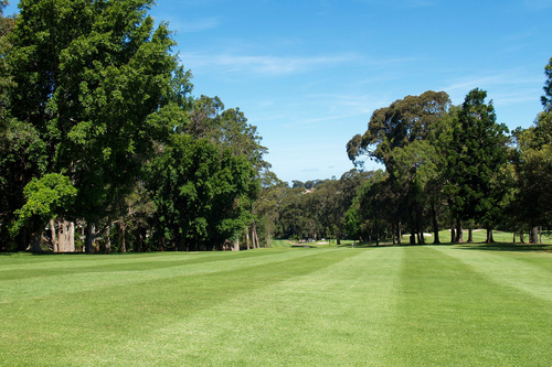 tour-hole6.jpg