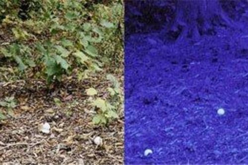 Find-a-Ballglassesco1.jpg