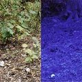 Find-a-Ballglassesco1.jpg