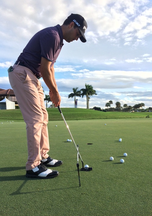 golfputtingrail.jpg