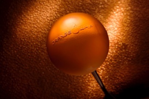 Orange_Whip_1.jpeg