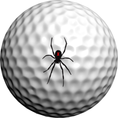 https://files.golfer.com.au/uploads/website_image/product/23492/black_widow.png