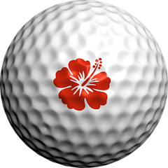 https://files.golfer.com.au/uploads/website_image/product/23507/hawaiin.png