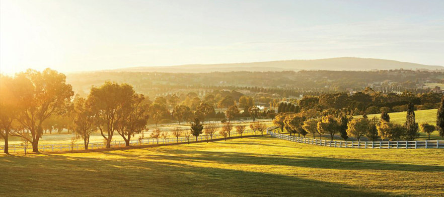 18 Holes for Two with a Shared Motorised Cart & Drinks at Hidden Valley Golf & Country Club!