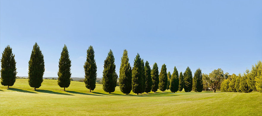 18 Holes for Four with Two Shared Motorised Carts & Drinks at Hidden Valley Golf & Country Club!