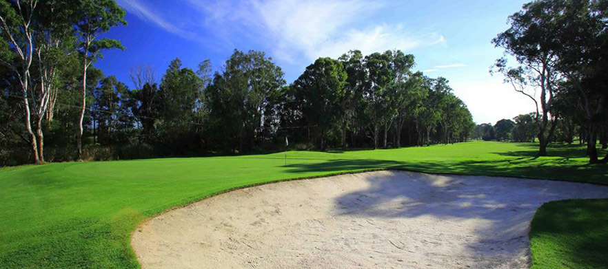 18 Holes for Four in Shared Motorised Carts with Drinks at the Beautiful Wyong Golf Club!