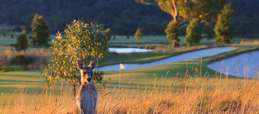 Eastern Golf Day Fri 24th April