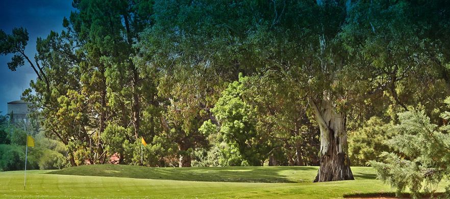One night stay for two people at <em>Mildura Golf Resort</em>. Your stay includes Unlimited golf with a motorised cart and a drink on arrival.