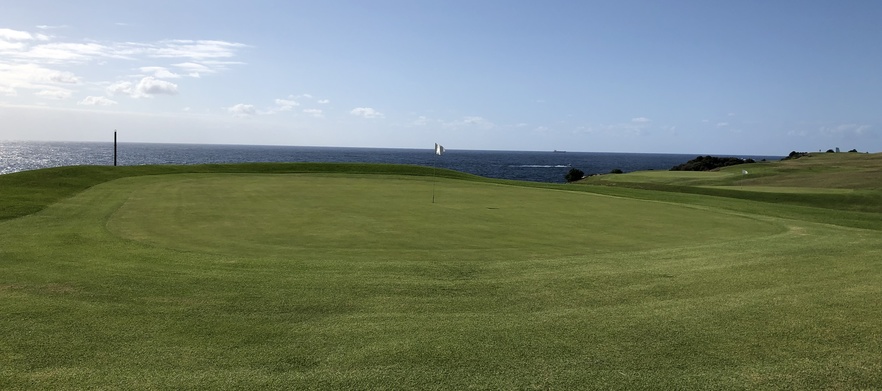 18 Holes for Four in shared Motorised Carts & 2 jugs of drink to share at Randwick Golf Course.