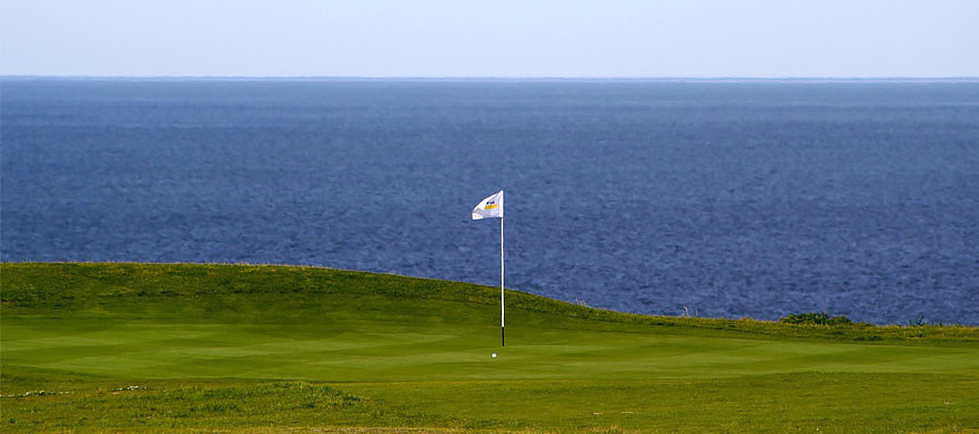 18 Holes for Four in shared Motorised Carts & 2 jugs of drink to share at Randwick Golf Course.