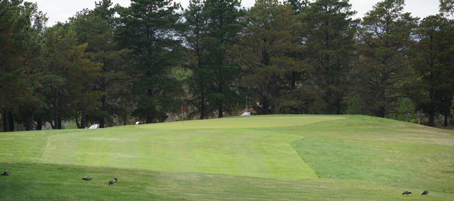 <em>Discover one of  Canberra's Hidden Gems!</em> 18 Holes for Two at <em>The Magpies Belconnen Golf Club.</em> Includes a Shared Motorised Cart plus $30 Food and Beverage package .