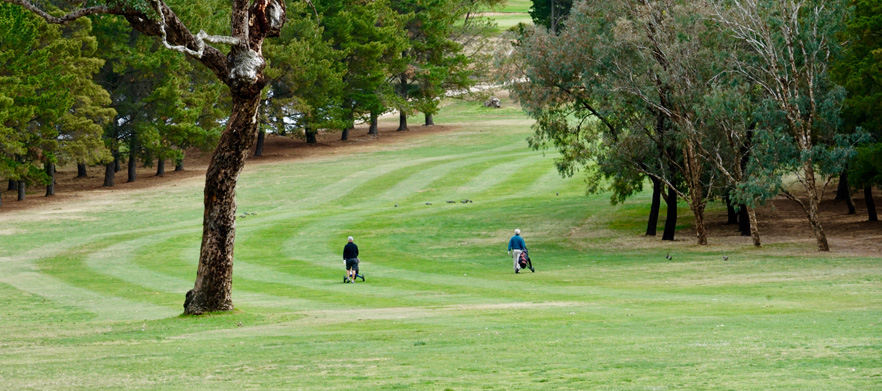 <em>Discover one of  Canberra's Hidden Gems!</em> 18 Holes for Two at <em>The Magpies Belconnen Golf Club.</em> Includes a Shared Motorised Cart plus $30 Food and Beverage package .